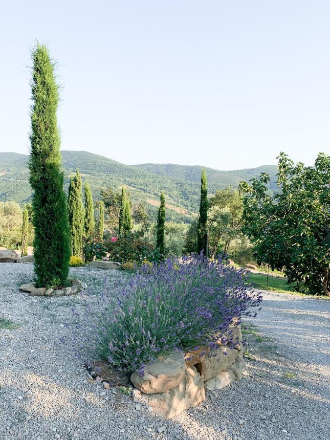 Villa Montanare コルトーナ エクステリア 写真