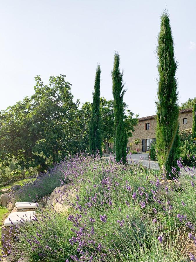 Villa Montanare コルトーナ エクステリア 写真
