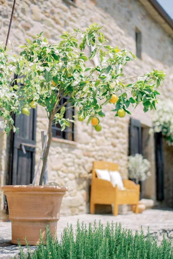 Villa Montanare コルトーナ エクステリア 写真